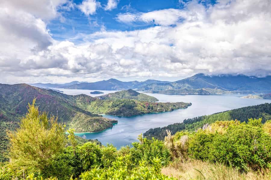 Marlborough Sounds and Ship Cove Cruise from Picton - Ship Cove: the quick landing that hits the Captain Cook story