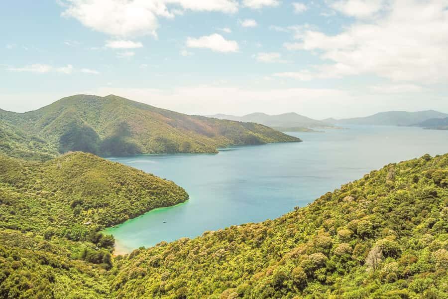 Marlborough Sounds and Ship Cove Cruise from Picton - Queen Charlotte Sound views from a boat that actually moves