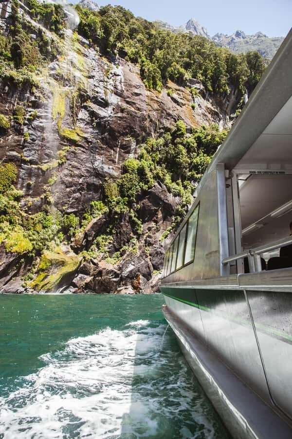 Milford Sound: 2-Hour Small Boat Scenic Cruise - Price and Value: Is $101 a Good Deal for Milford Sound?