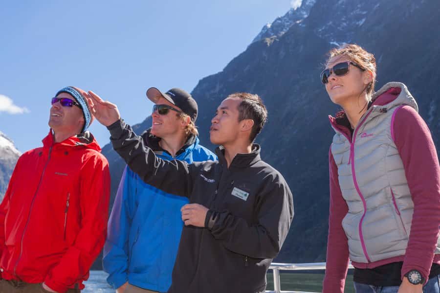 Milford Sound: 2-Hour Small Boat Scenic Cruise - Who Should Book This Milford Sound Small-Boat Cruise (and Who Should Think Twice)