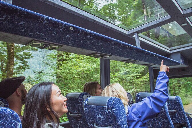 Milford Sound Coach and Cruise tour from Queenstown - Key points to know before you go