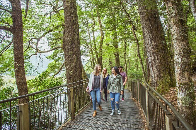 Milford Sound Coach and Cruise tour from Queenstown - Queenstown to Milford Sound: why the coach is the smart move