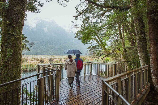 Milford Sound Coach and Cruise tour from Queenstown - Milford Sound by catamaran: two hours that usually feel like the main event