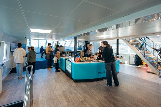 Milford Sound Coach and Cruise tour from Queenstown - Value check: is $152.04 worth it for your day?