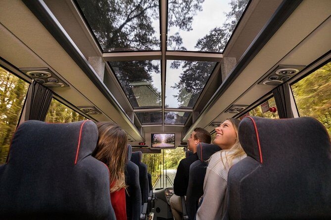 Milford Sound Coach & Cruise from Queenstown: Panoramic Views - Lunch quality and the one planning check: dietary needs
