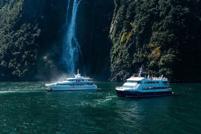 Milford Sound Cruise - Quick take: what stands out on this Milford Sound cruise