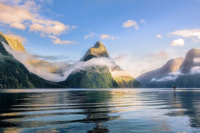 Milford Sound Cruise - Wildlife odds: fur seals and dolphins when the water behaves