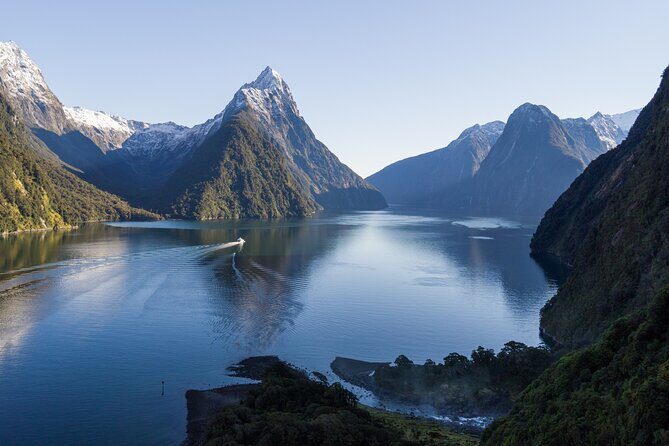 Milford Sound Cruise - RealNZ - Wildlife Odds: Dolphins, Seals, Crested Penguins, and Sometimes Orca