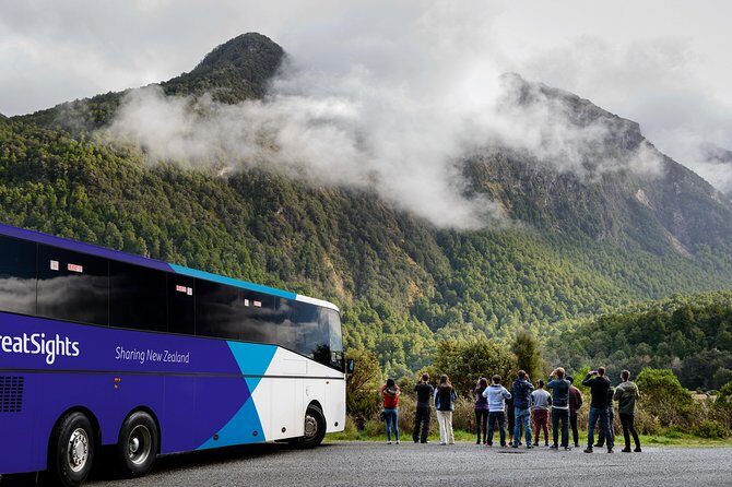 Milford Sound Day Tour from Queenstown - Hollyford Valley to Homer Tunnel: When the Day Turns Dramatic