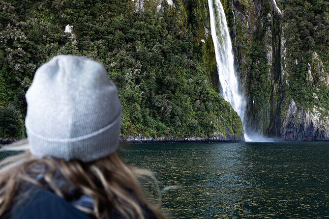 Milford Sound Flight and Cruise ex Queenstown (incl Lunch) - Milford Sound cruise: Mitre Peak, Bowen Falls, and the wildlife odds
