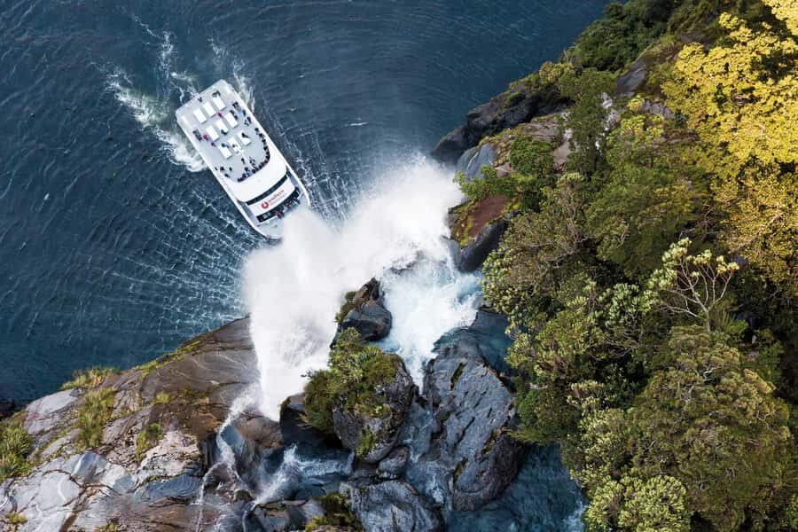 Milford Sound: Nature Cruise - Grand Views & Optional Lunch - Key points worth knowing before you go