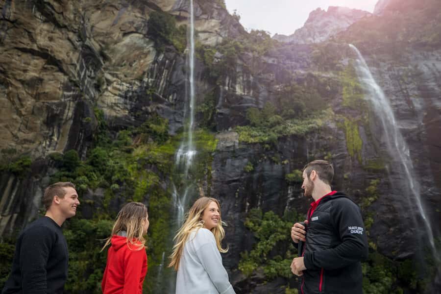 Milford Sound: Nature Cruise - Grand Views & Optional Lunch - Wildlife spotting without the waiting game