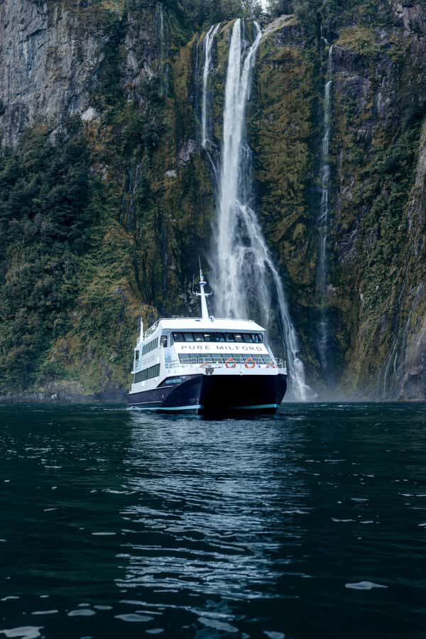 Milford Sound: Nature Cruise on a Modern Catamaran - Key highlights you’ll notice right away