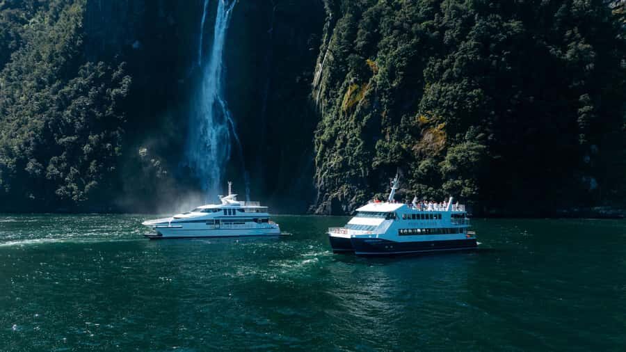 Milford Sound: Nature Cruise on a Modern Catamaran - Milford Sound in 105 minutes: why this cruise format works