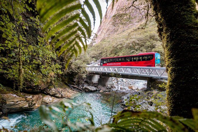 Milford Sound Premium Coach & Cruise from Queenstown with Lunch - Monkey Creek and The Chasm Walk: quick nature moments worth timing