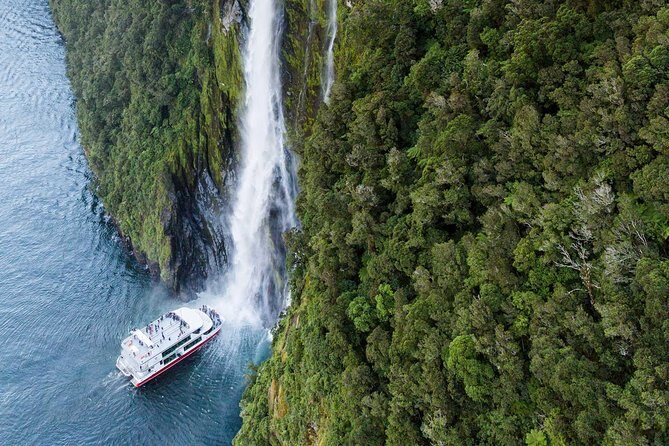 Milford Sound Premium Coach & Cruise from Queenstown with Lunch - The glass-roof coach: comfort perks and the reality of a long ride