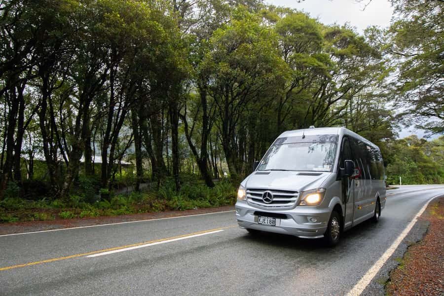 Milford Sound: Premium Small Group Tour from Queenstown - Te Anau break time: where you reset for the national park