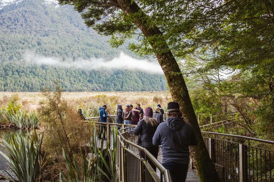 Milford Sound: Premium Small Group Tour from Queenstown - Fiordland National Park walks: waterfalls on foot, not just from the van
