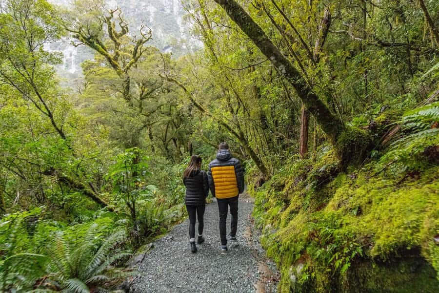 Milford Sound: Premium Small Group Tour from Queenstown - Lunch and the small things that affect comfort