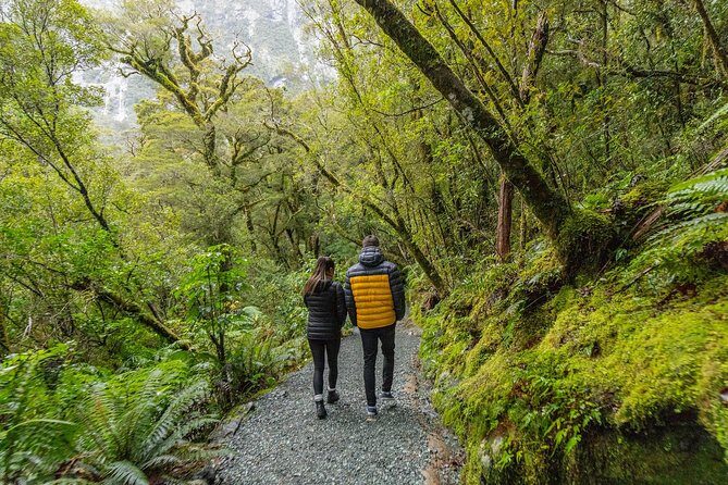 Milford Sound Small Group Tour from Queenstown with Scenic Flight - Scenic flight back to Queenstown: the time-saver with serious wow factor