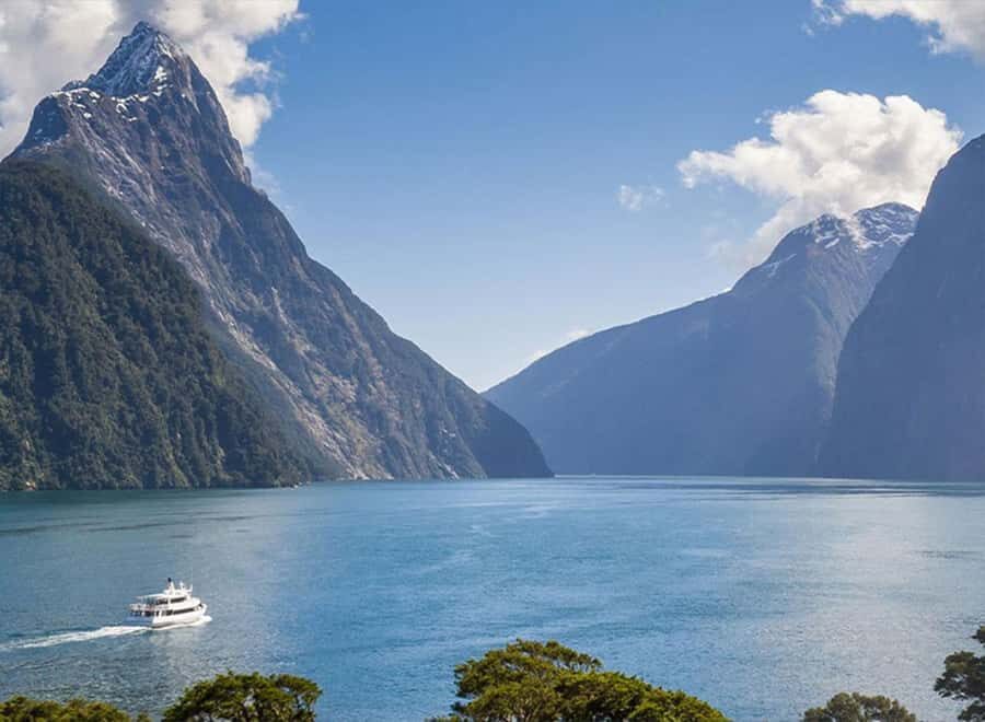Milford Sound: Small-Group Tour from Te Anau - Morning tea and lunch: the meals that make a long day easier