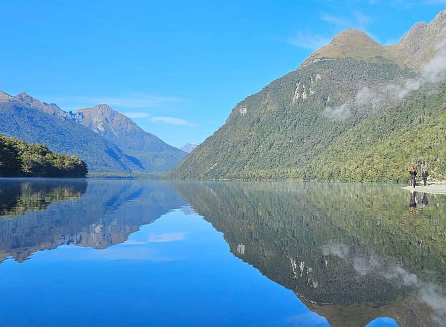 Milford Sound: Small-Group Tour from Te Anau - Wildlife chances: seals, dolphins, and the crested penguin