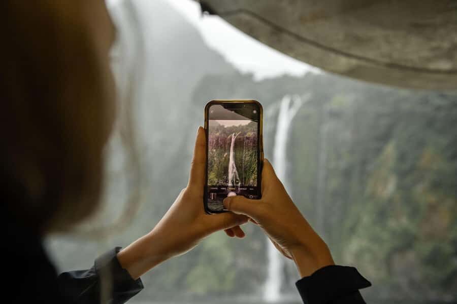 Milford Sound: Wildlife & Nature Cruises - Key things that make this Milford cruise worth your time
