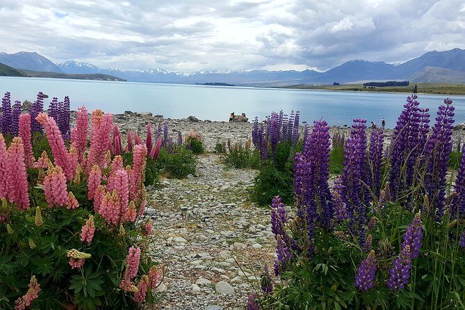Mount Cook, Lake Tekapo and Tasman Glacier Tour from Christchurch - Mount Cook National Park: Hermitage lunch time and the Edmund Hillary Alpine Centre