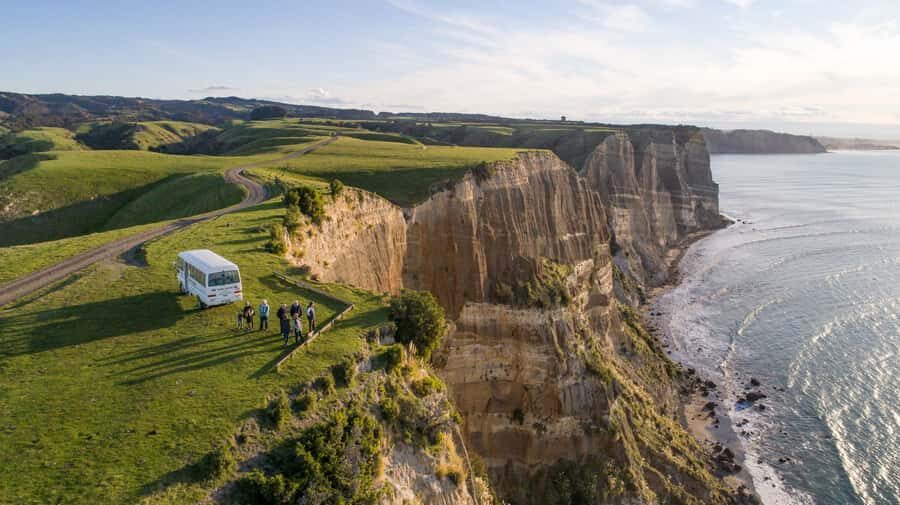 Napier: Cape Kidnappers Gannet, Nature & Sightseeing Tour - Getting to the colony: geological scenery and real farmland access