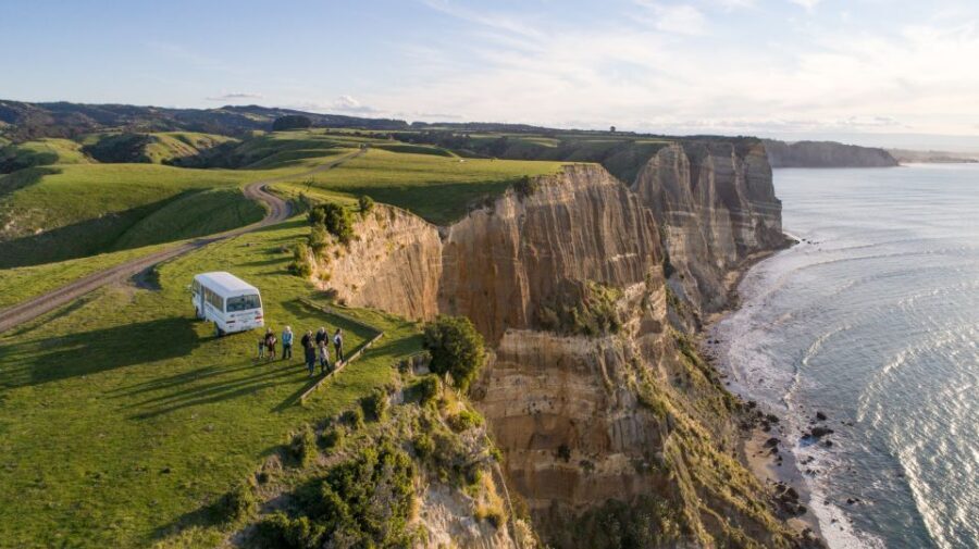 Napier: Cape Kidnappers Gannet, Nature & Sightseeing Tour - Comfort, timing, and photo tips for the cape cliffs