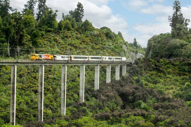 Northern Explorer Train Journey from Wellington to Auckland - Key highlights worth your attention