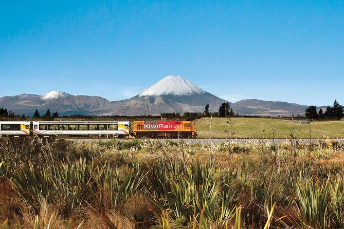 Northern Explorer Train Journey from Wellington to Auckland - Why this Wellington to Auckland train feels like a smart shortcut