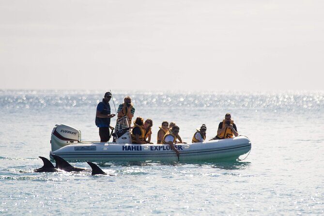 One Hour Cathedral Cove Boat Tour in Hahei - Key things to know before you go