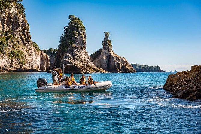 One Hour Cathedral Cove Boat Tour in Hahei - How safe and comfortable is the ride?