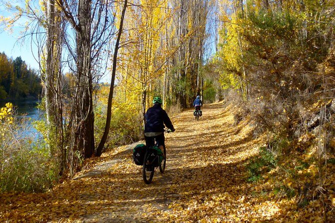 Otago Central Rail Trail One Day Wonder Cycle tour - Bikes, gear, and how the semi-guided format helps you