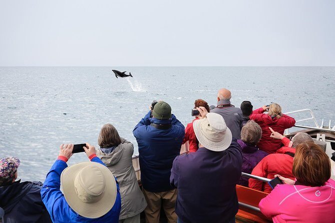 Otago Peninsula Wildlife Cruise with Monarch - Getting There: The Coastal Drive and Where You Start