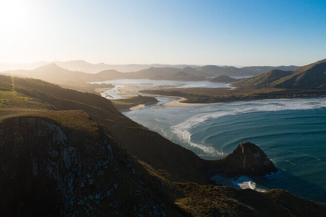 Otago Peninsula Wildlife Cruise with Monarch - Stop 2 Around Wellers Rock Wharf: Wildlife You Might See