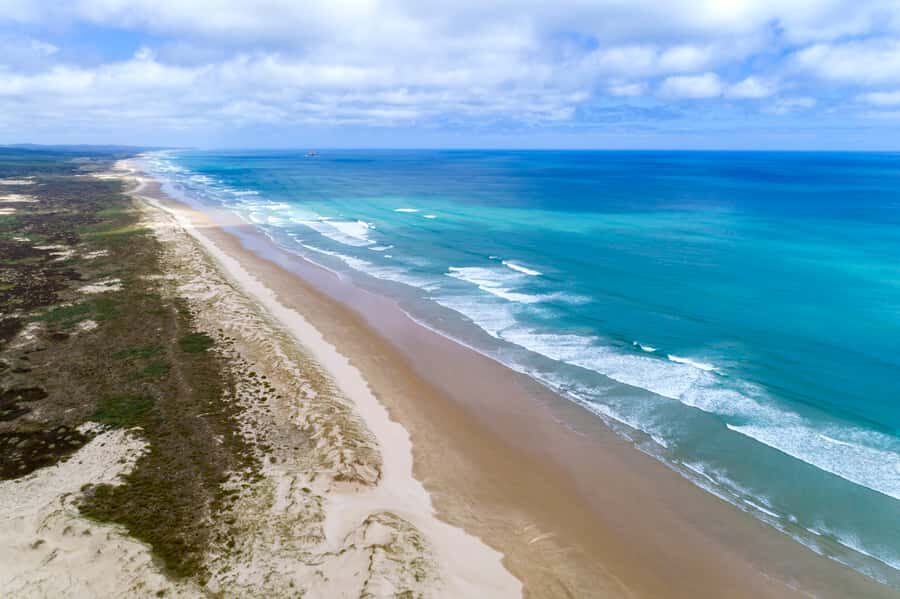 Paihia: Cape Reinga and Ninety Mile Beach Trip with Lunch - Price and value at $104: what you’re buying