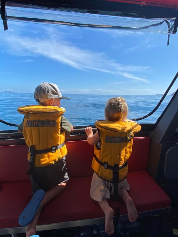 Paihia: Glass Bottom Boat Tour to the Hole in the Rock - Price and value: is $74 worth 2.5 hours?