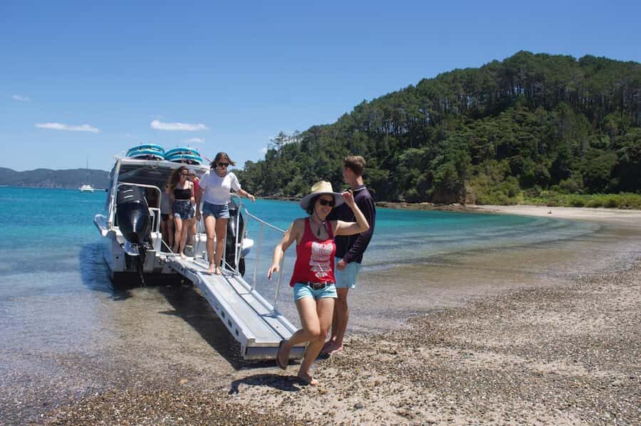 Paihia/Russell: Hole in the Rock Cruise with 2 Island Stops - Pace and Timing: A 4.5-Hour Afternoon That Feels Full