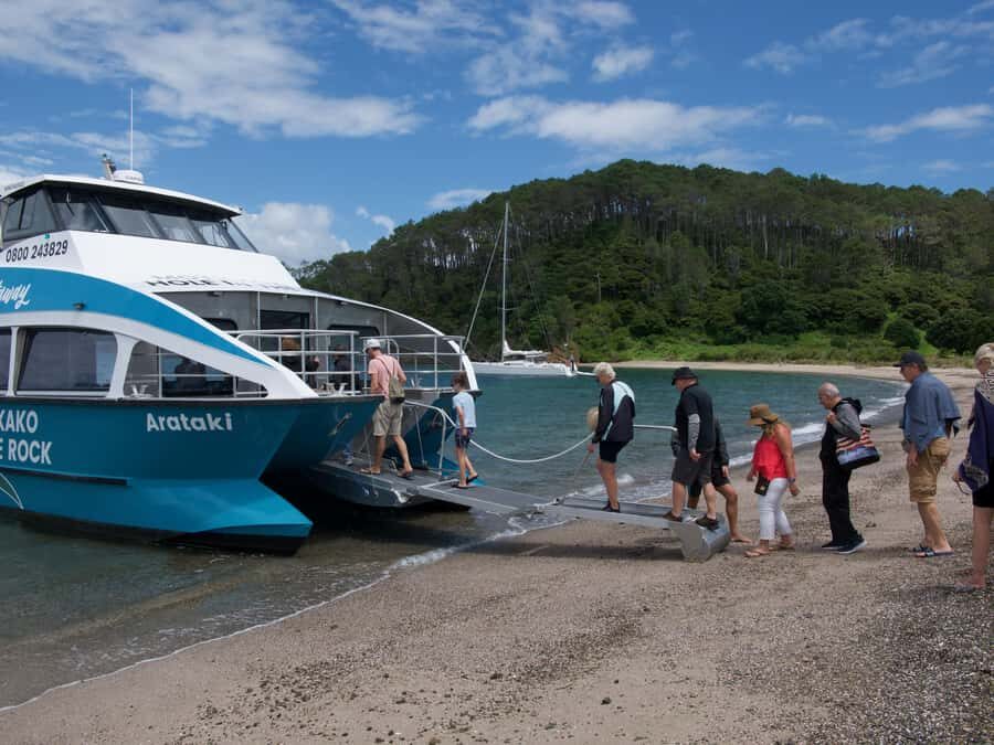 Paihia/Russell: Hole in the Rock Cruise with 2 Island Stops - The Scenic Cruise Segment: Learning the Bay Between Stops