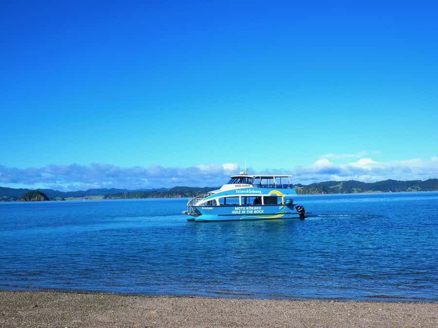 Paihia/Russell: Hole in the Rock Cruise with 2 Island Stops - Cape Brett Peninsula and Lighthouse (45 Minutes): The View Piece
