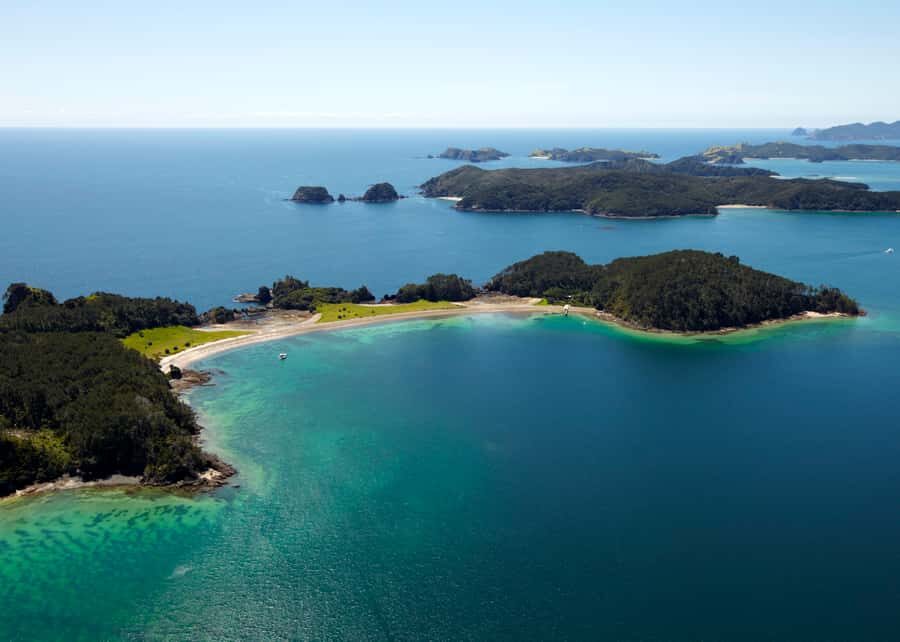 Paihia/Russell: Hole in the Rock Cruise with 2 Island Stops - Marine Wildlife Spotting: How This Tour Tries to Earn Your Eyeballs