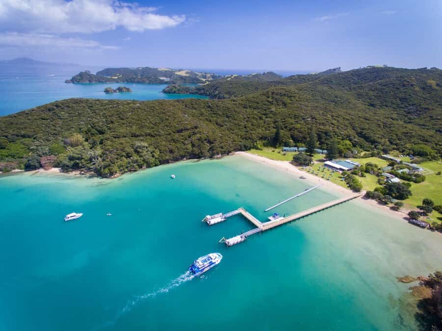 Paihia/Russell: Hole in the Rock, Dolphins & Island Cruise - Spotting dolphins and whales with a licensed operator