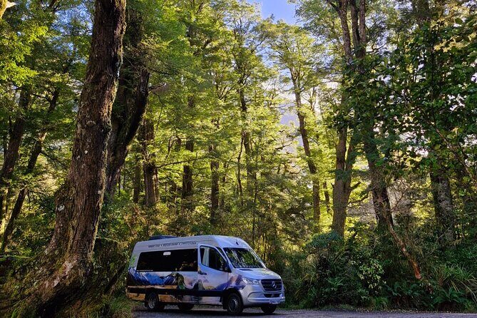 Premium Milford Sound Small Group Tour & Cruise from Queenstown - Food, Comfort, and Timing: Making the Long Day Work for You