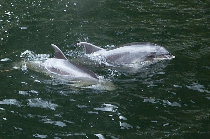 Premium Milford Sound Tour, Cruise & Lunch from Te Anau - Lake Gunn and photo breaks: peace, photos, and fishing country
