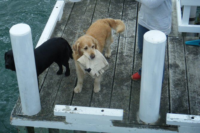 Queen Charlotte Sound Mail Boat Cruise - Price and value: what $75.71 really buys you