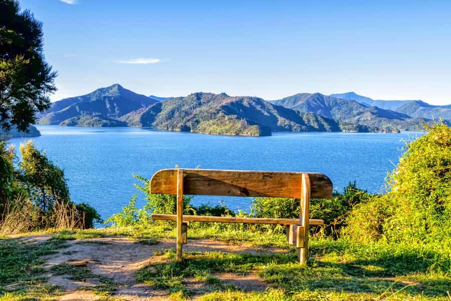 Queen Charlotte Track: Cruise & Self-Guided Hike from Picton - Ship Cove: Captain Cook’s anchorage, plus wildlife scanning time