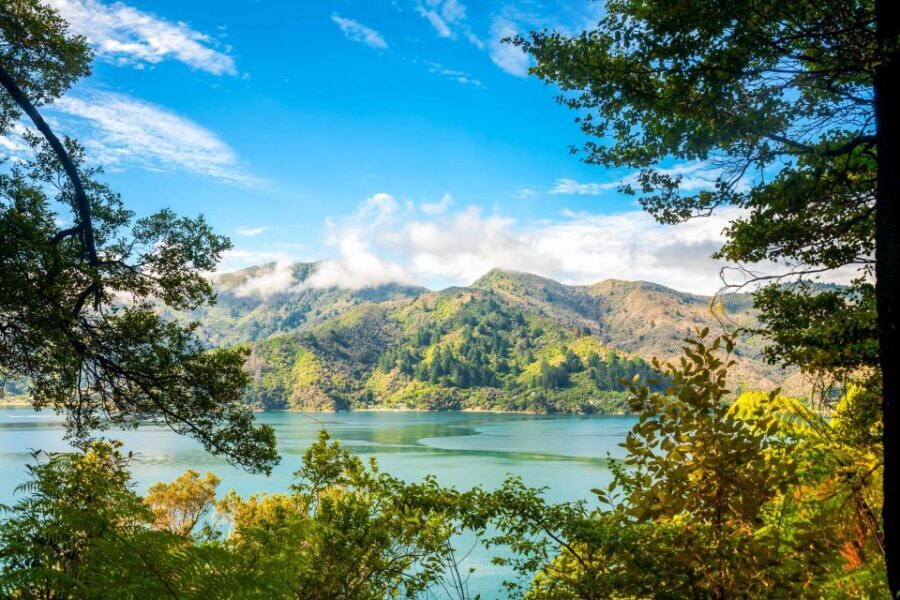 Queen Charlotte Track: Cruise & Self-Guided Hike from Picton - Ship Cove to Furneaux Lodge (17 km): the longer walk with key viewpoints