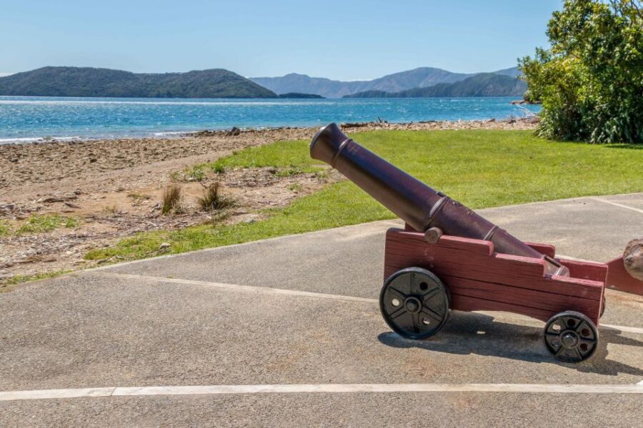 Queen Charlotte Track: Cruise & Self-Guided Hike from Picton - Getting back to Picton: how to keep the day stress-free